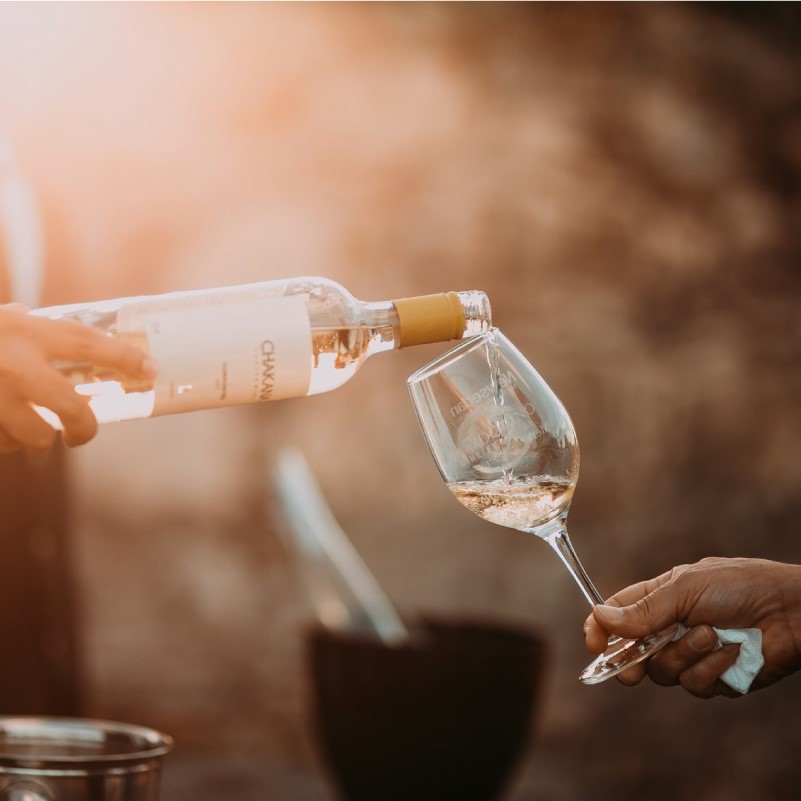Development of the new website for Revista de Vinhos